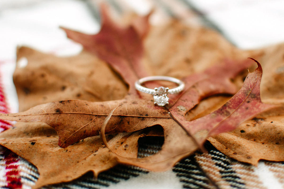 Hocking Hills Old Man's Cave Upper Falls Surprise Engagement Proposal Photographer