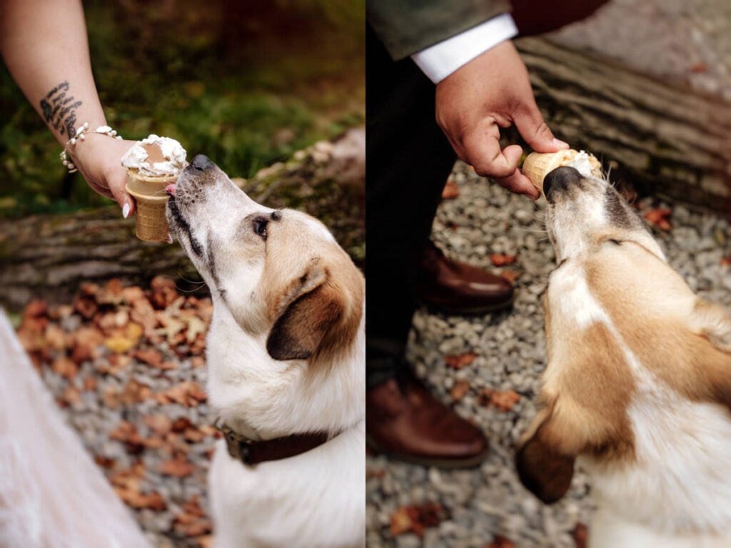 Hocking Hills Full Day Elopement Wedding Conkles Hollow Ash Cave Cabin