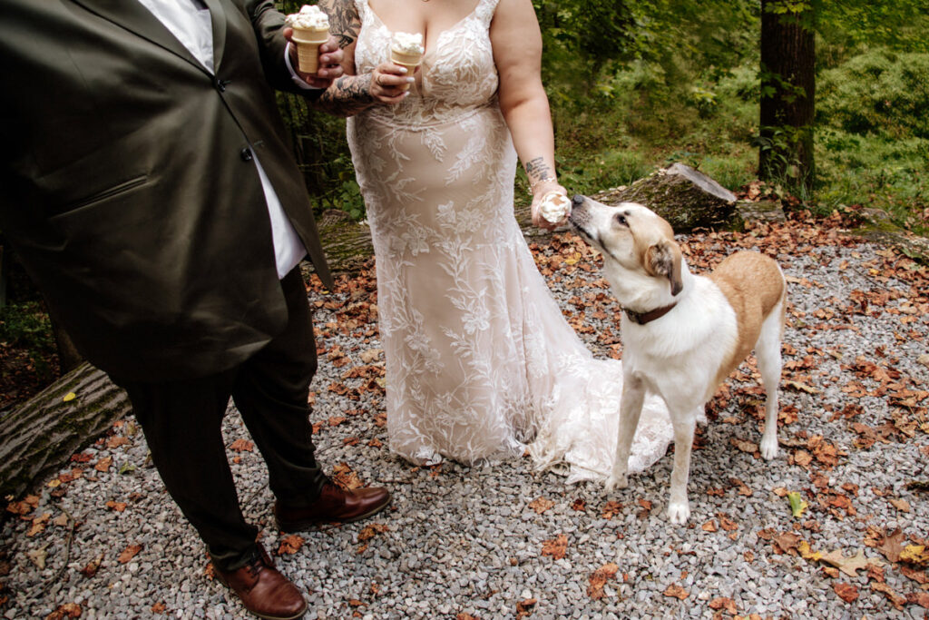 Hocking Hills Full Day Elopement Wedding Conkles Hollow Ash Cave Cabin