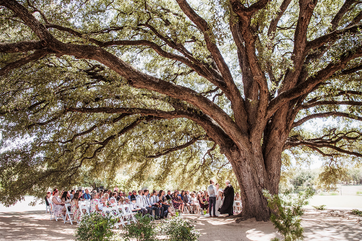 Texas Blum Stonebridge Wedding Venue Live Oak Tree Ceremony Hot Summer Ireland Irish Travel Destination Elizabeth Nihiser Wedding Photography
