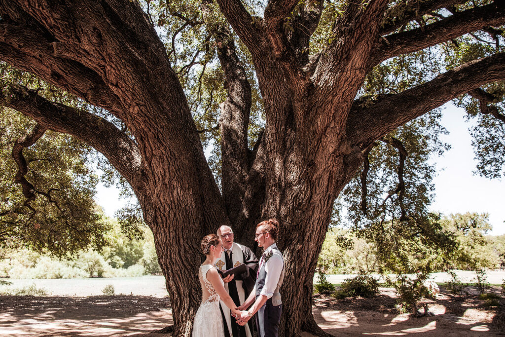 Texas Blum Stonebridge Wedding Venue Live Oak Tree Ceremony Hot Summer Ireland Irish Travel Destination Elizabeth Nihiser Wedding Photography