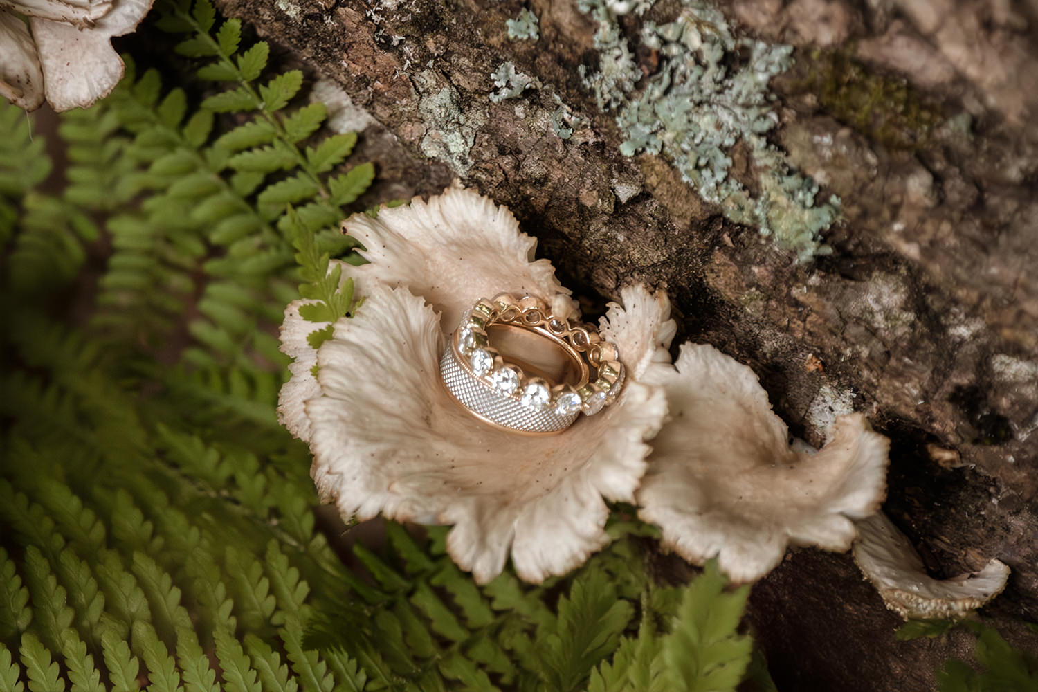 Macro shot of wedding rings stacked on fungus with ferns.