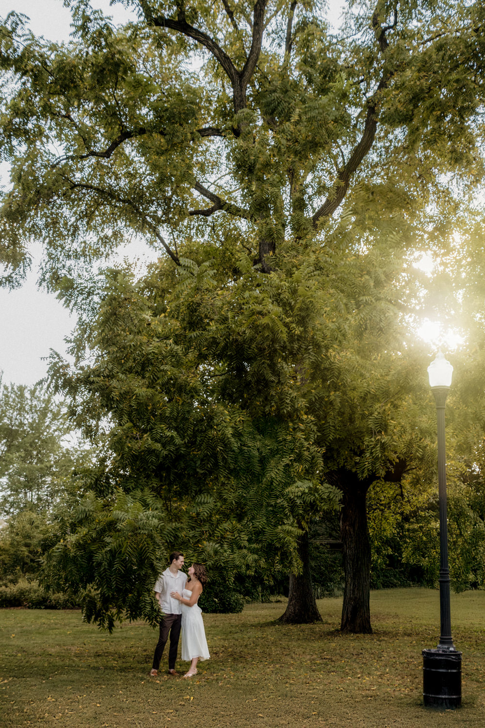 A wide shot of a man and woman standing next to a tall tree in a park. The sun sets behind them and the lamppost turns on.