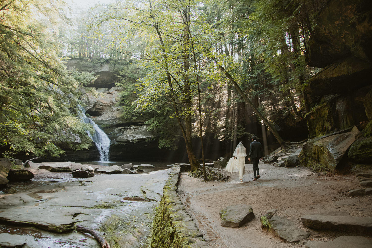 Rays of morning sunlight beaming through the forest canopy into a misty rock canyon.