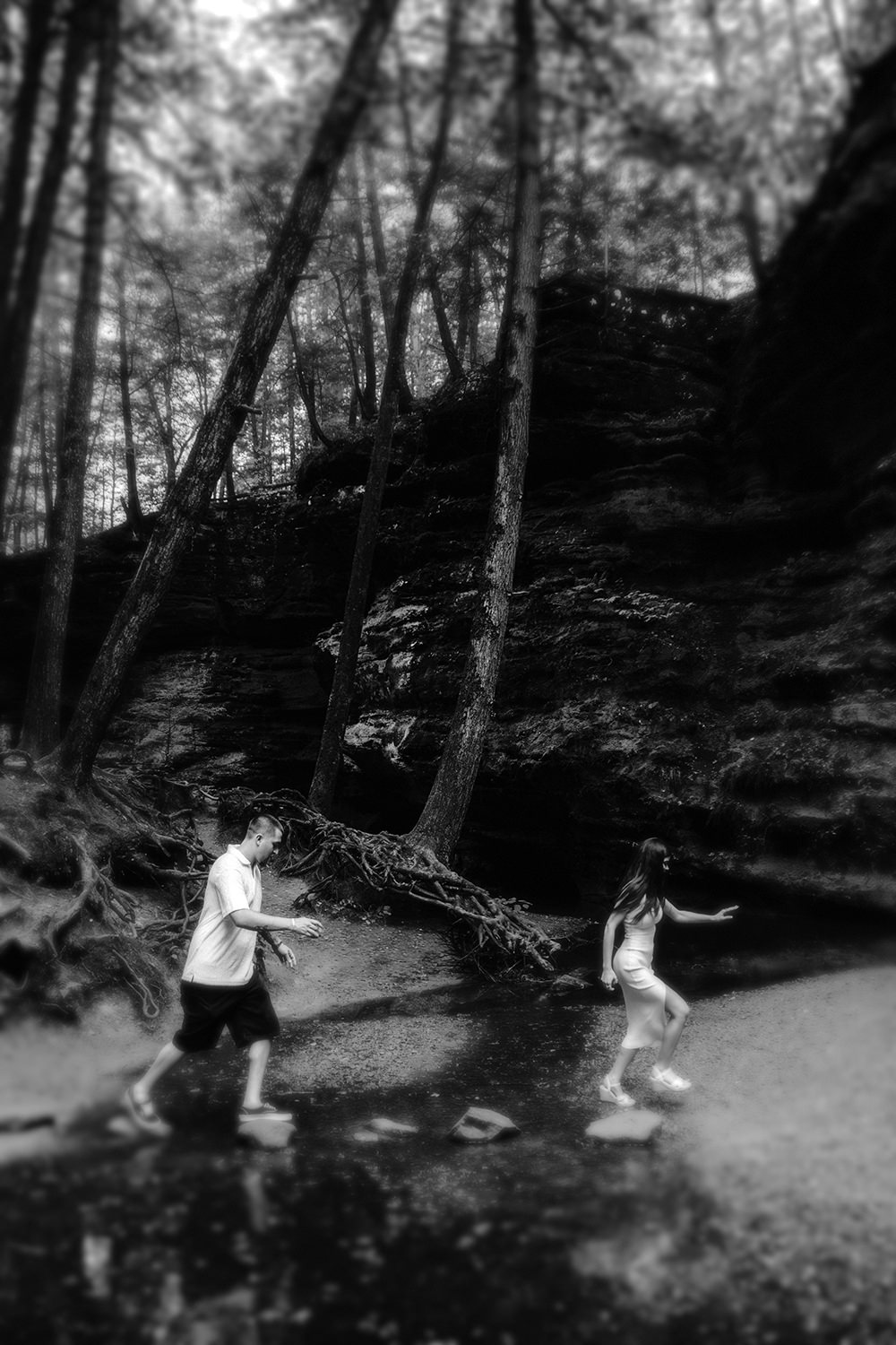 Rear view of the couple walking hand in hand down the trail away from the camera into the forest.