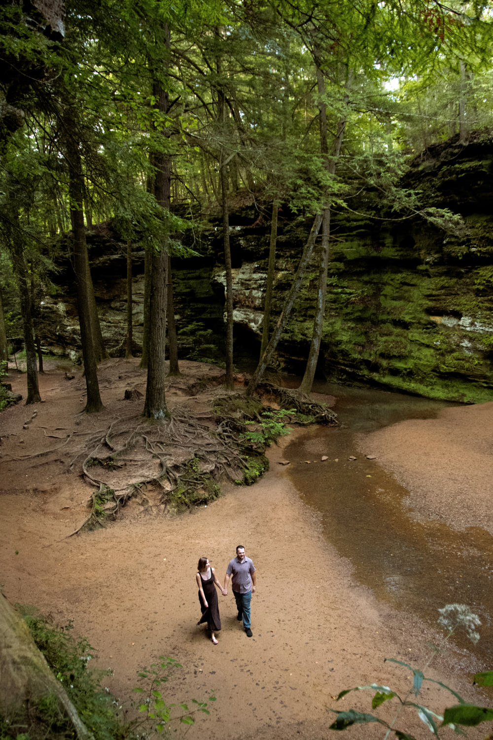 High angle view of a couple holding hands while walking through a shaded woodland trail.